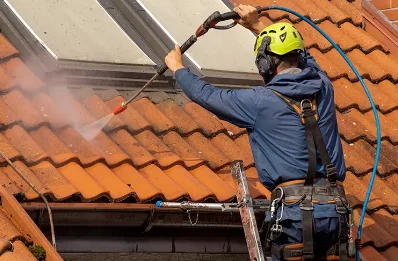 Démoussage et hydrofuge de toiture à Larrau